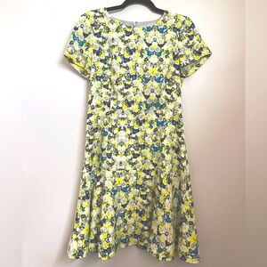 J. Crew fit and flare dress (size 6)